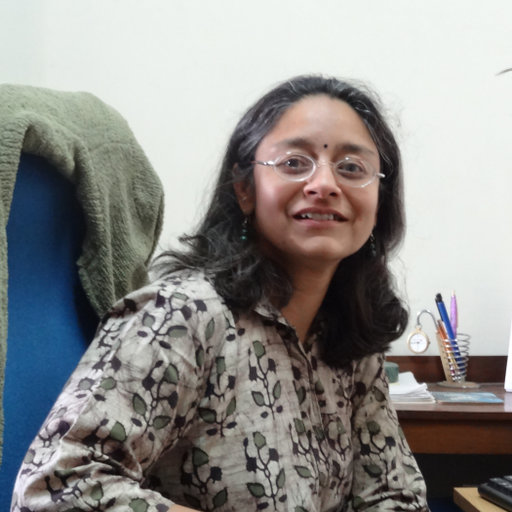 Professor Suchitra Mathur